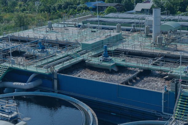 Untitled design (65)